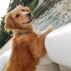 Meet your Posher, Jocelyn